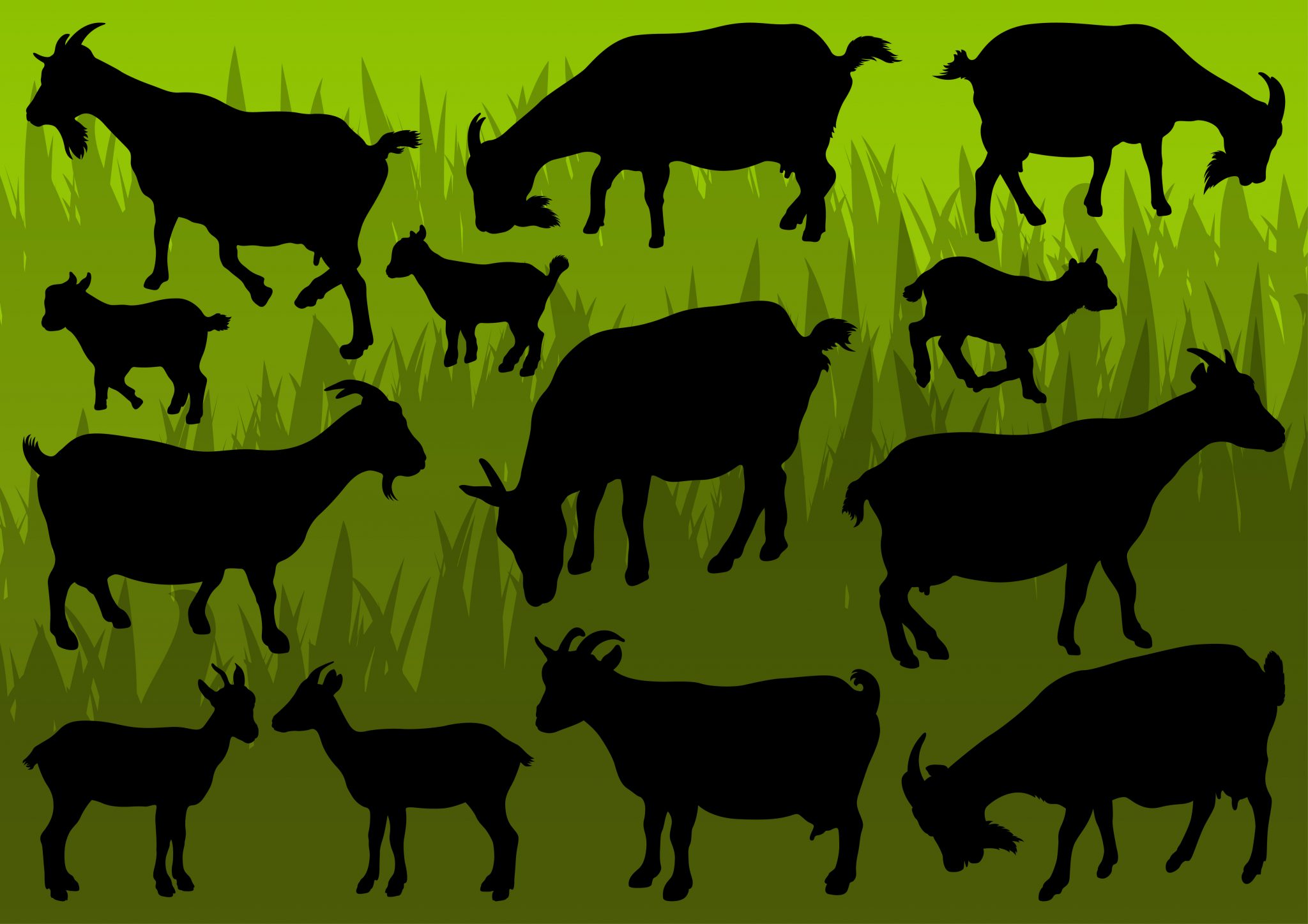 Raising Goats for Profit Choose DualPurpose Goats! Goat Journal